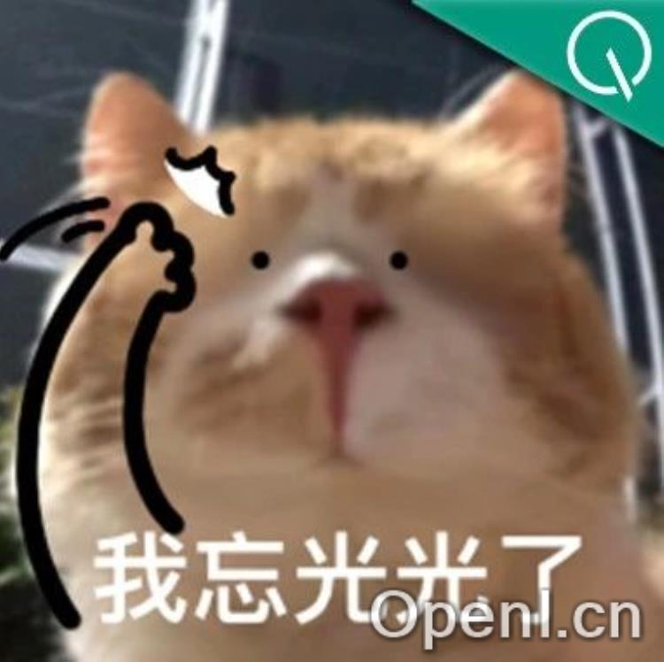 为多模态LLM引入ControlNet理念，开源插件解决灾难性遗忘 | AAAI