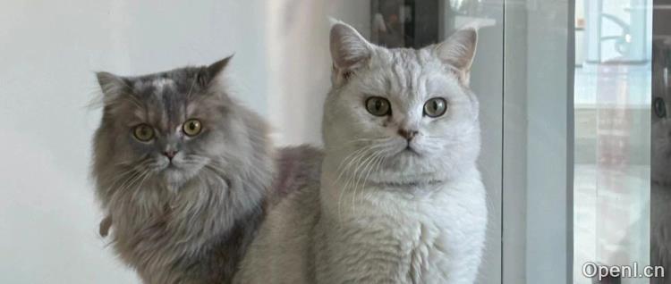 今天不发文章了,聊两句