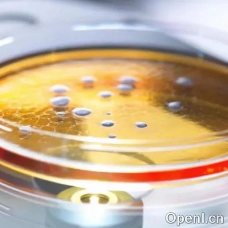 Science：呼吁全球禁止镜像生命的研究