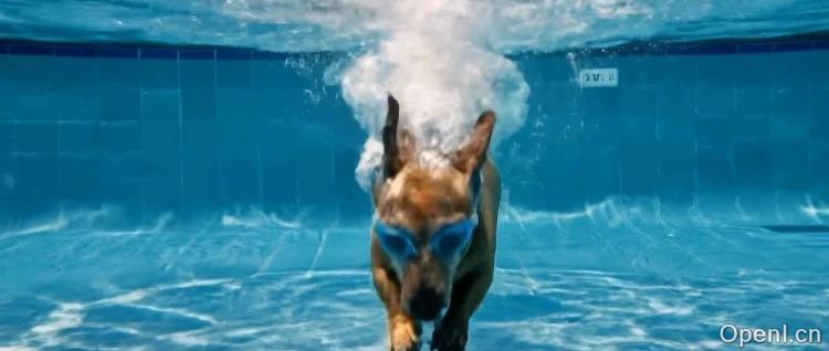 锤爆Sora,尺度最大,谷歌发布最强视频模型Veo2,叫板海螺可灵