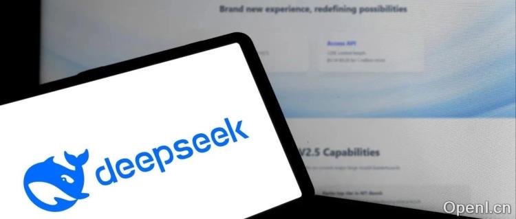 从infra的视角聊聊DeepSeek-V3