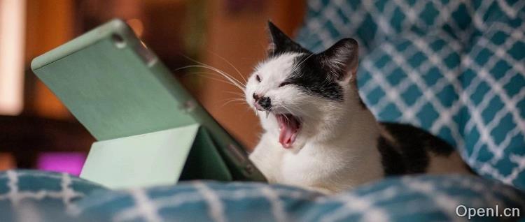 OpenAI狂打“骨折价”的一天:暴降成本开放全新o1,实时 API 全面降价 60%