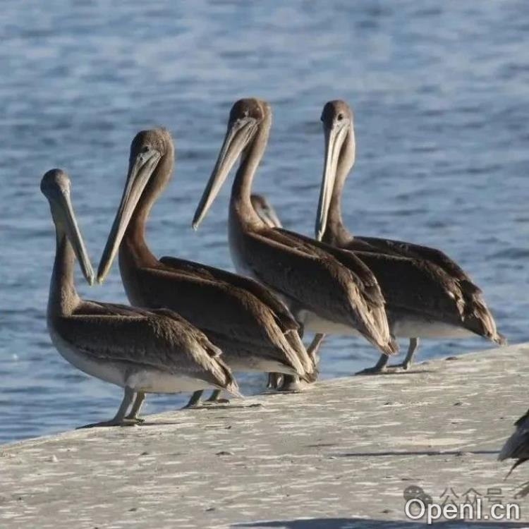 这是2024年我们对LLMs所学到的东西