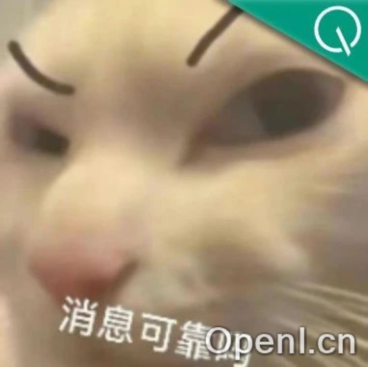 别再把o1满血版当聊天模型了!SpaceX前工程师公开全新使用秘籍:从讨厌它到每天依赖它