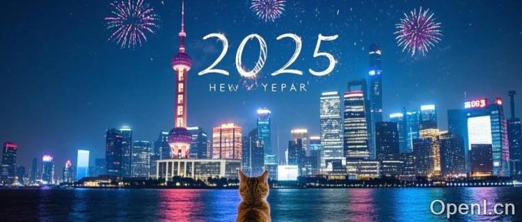 50 多岁转型 AI,犀利批判硅谷大厂:“先变成个混蛋才能做成事”