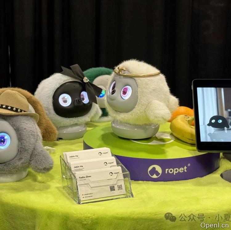 萌宠机器人Ropet：AI技术下的情感陪伴新选择