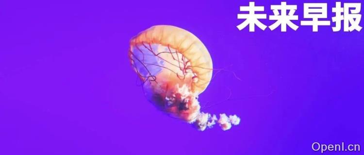 华为时隔 5 年重回中国手机市场第一/TikTok 获 75 天禁令宽限/B 站:已开除恶意报复用户的当事员工