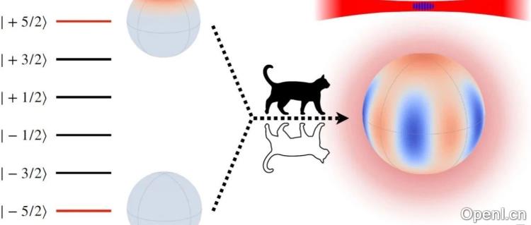 薛定谔的猫，竟然活了23.3333······分钟