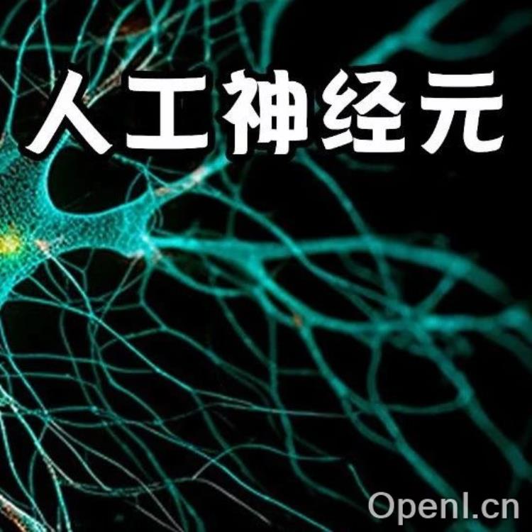 比人类神经元快10亿倍!港中文、中科院「超级大脑」:1秒识图3479万张