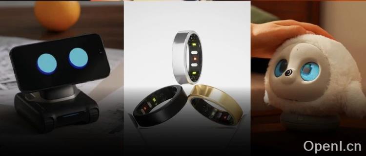 和当下最酷的 AI 硬件们一起,聊聊 2025 年什么方向值得干?