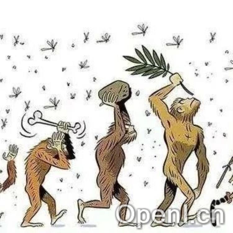 进化与发育的变分统一:自由能视角下的自然选择