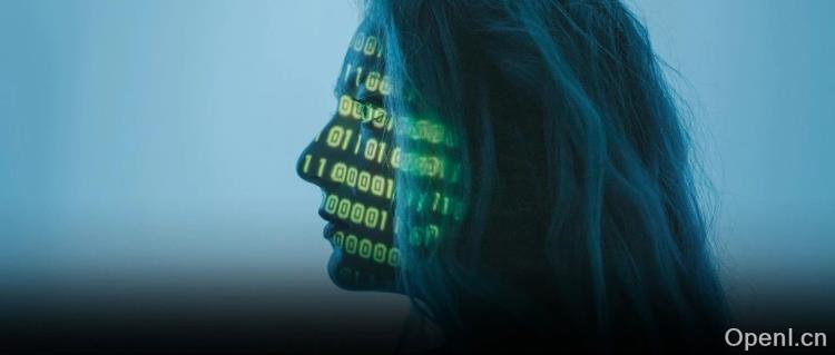 经济学家何帆、洪灏对话:我们有可能对抗算法的偏见吗?