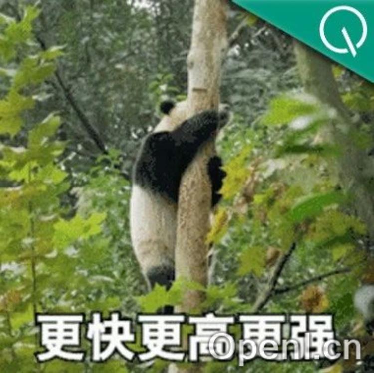 Search版o1：推理过程会主动查资料，整体性能优于人类专家，清华人大出品