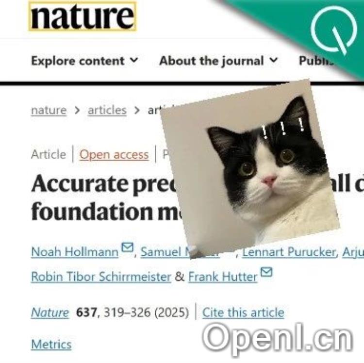 表格处理神器登上Nature!开箱即用,平均2.8s解读任意表格