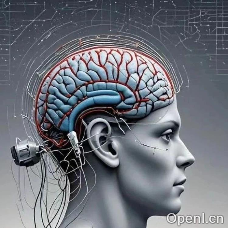 脑机接口：连接神经元与数字世界