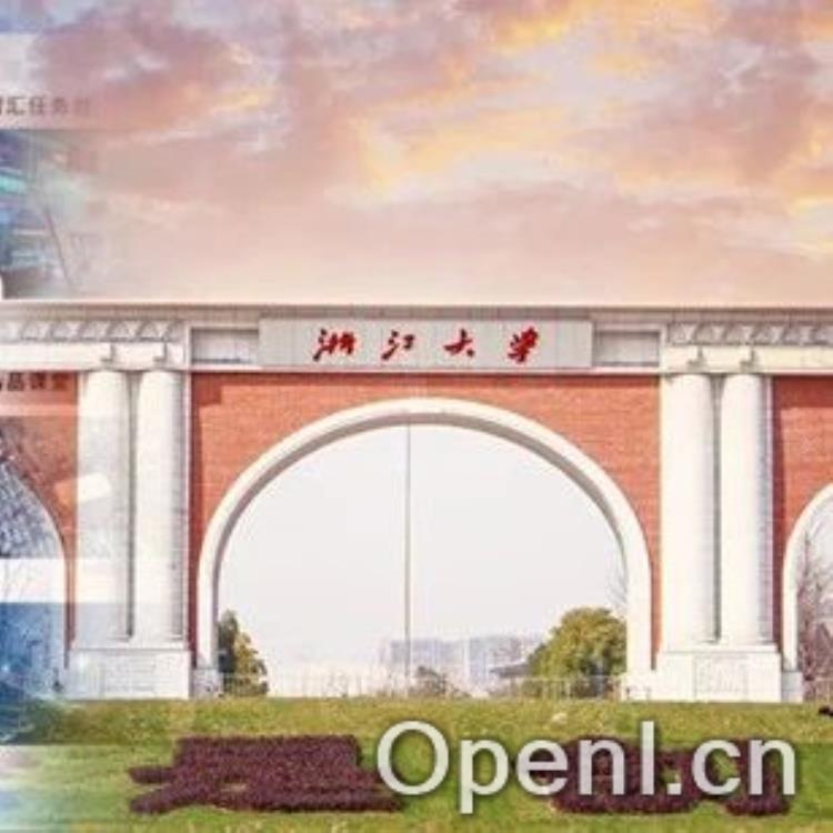 浙大满血版DeepSeek上线!能联网搜索