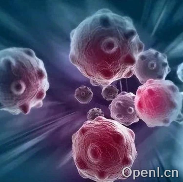 Nature重要发现:癌细胞会自建 “电网”,增强扩散能力