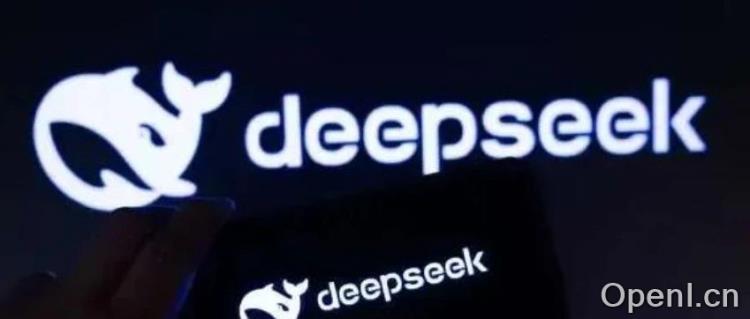 算力至上：各家公司Deepseek性能大揭秘（附：测试脚本）