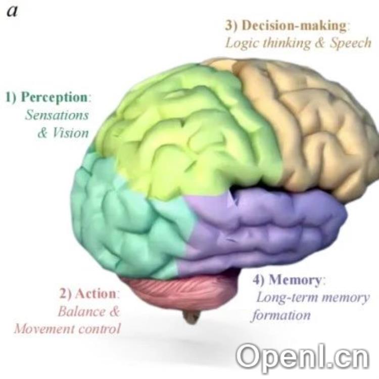医疗具身智能发展到哪了？看这一篇综述就够了！