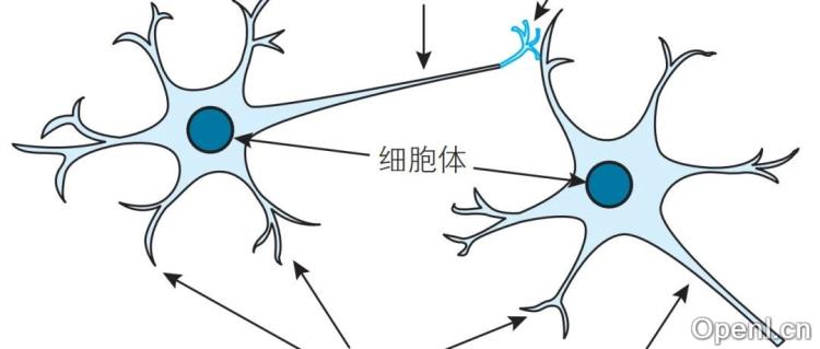 人工智能小白到高手:人工神经网络最早的神经单元-感知机