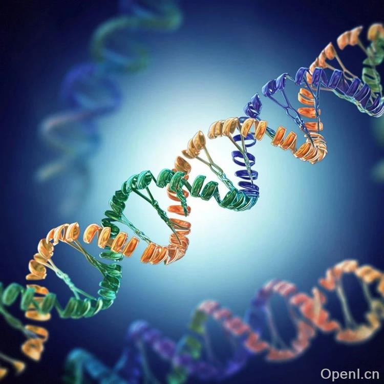 LLM时代,计算蛋白质科学进展如何?香港理工大学等发布系统性综述