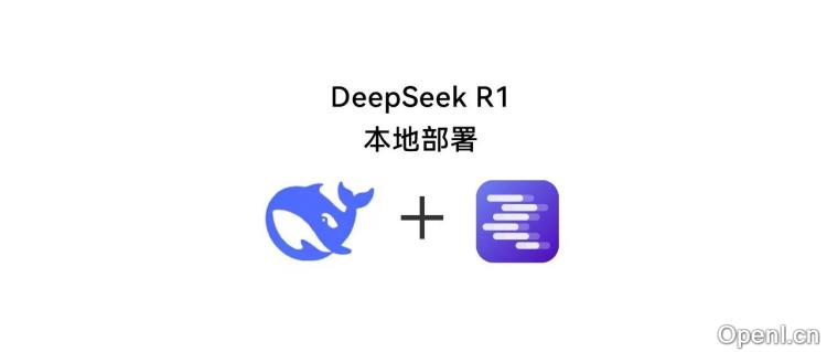 DeepSeek R1本地部署,小白教程来了!