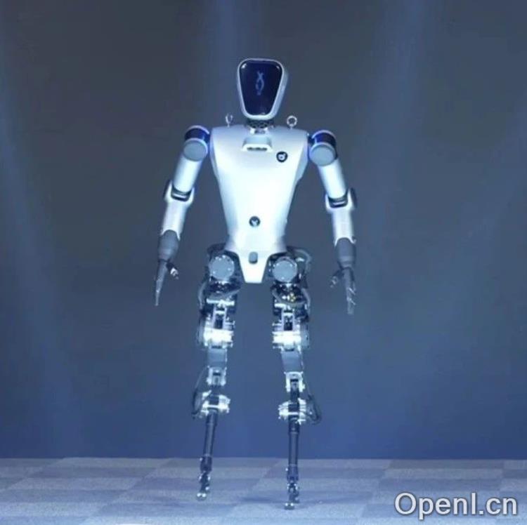 生物人工智能——从具身认知到具身机器人学