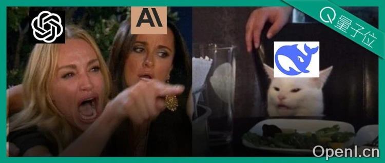 硅谷掀桌！DeepSeek遭OpenAI和Anthropic围剿，美国网友都看不下去了