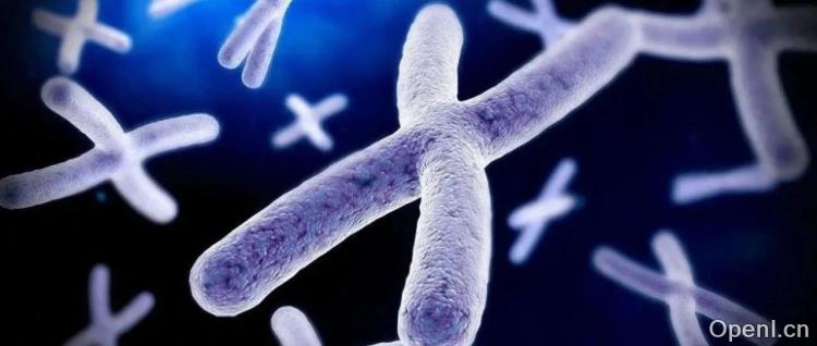 Nature:人类染色体正在以惊人速度进化!
