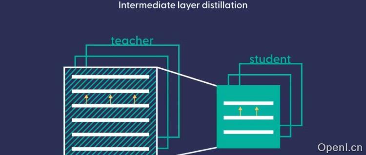 苹果也在蒸馏大模型，给出了蒸馏Scaling Laws