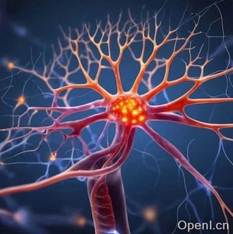 林大宇团队1年2篇Nature，分别揭示“认怂”和雄性“攻击行为”的神经调控机制