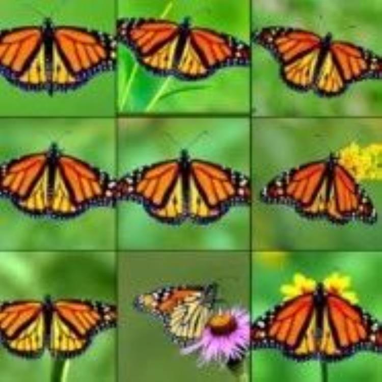 无需引导采样，清华大学提出视觉模型训练新范式