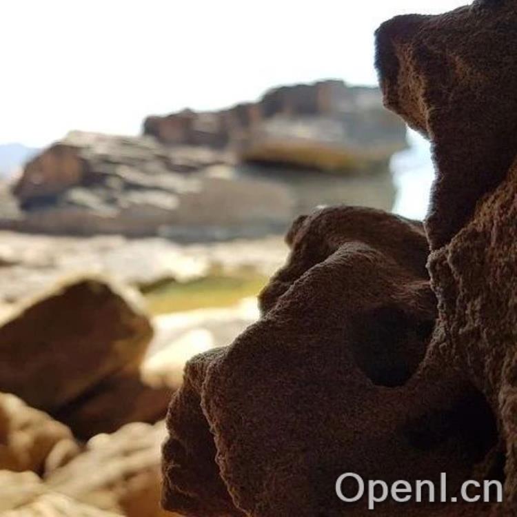 日本 AI 公司发布自适应大模型,可动态调整其权重以完成各种任务