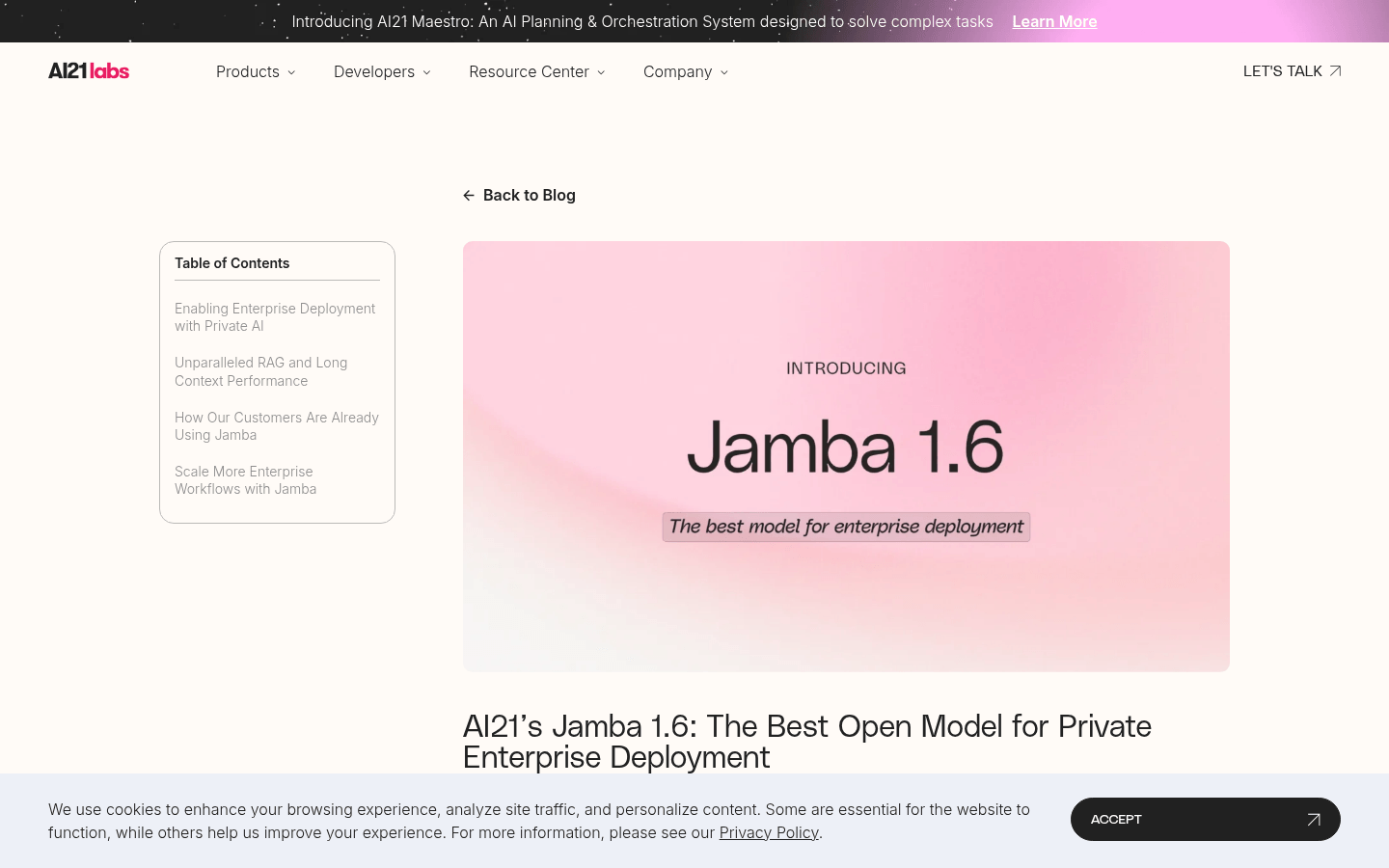 Jamba 1.6