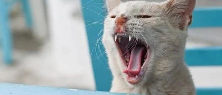 不用英伟达严选?DeepSeek最新开源项目再刷新认知,为何被赞“颠覆存储架构”