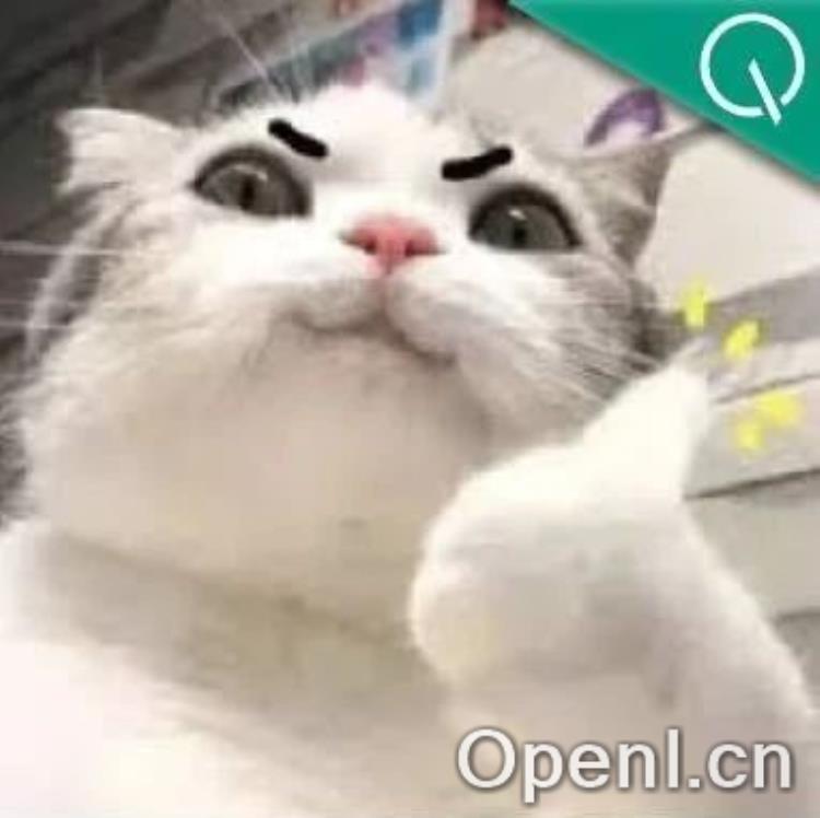 性能无损,模型隐私保护效果提升50%!蚂蚁数科创新跨域微调框架| AAAI 2025 Oral