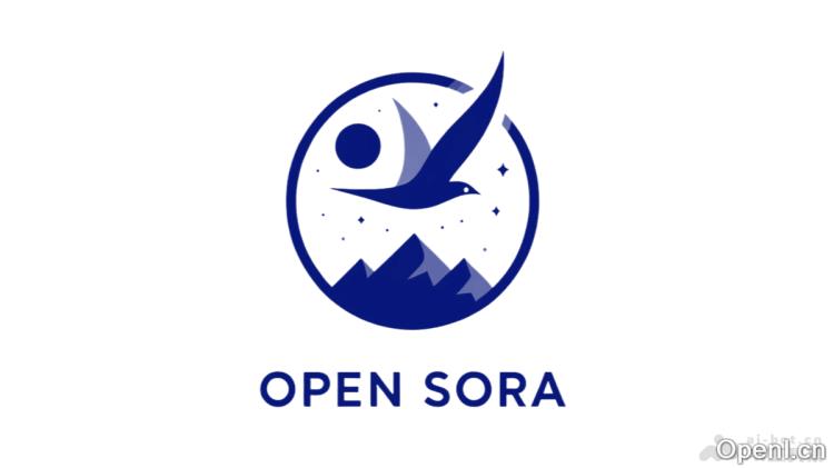 Open-Sora 2.0