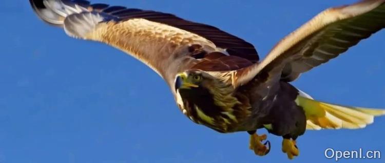 阿里开源最新、最强大的视频生成模型万相2.1一手实测