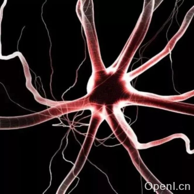 Neuron：青春期饮食非常重要！研究发现关键神经环路调控青春期发育，与饮食息息相关