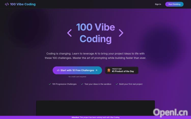 100 Vibe Coding