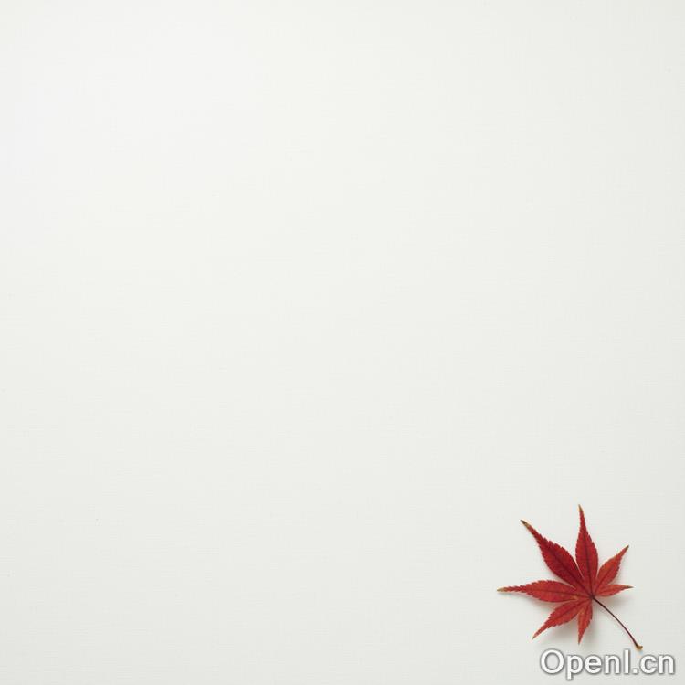 建议收藏!Google+即梦+豆包三大官方AI绘图提示词手册,终于有人整理全了!