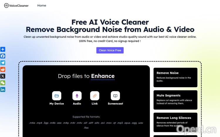 AI Voice Cleaner