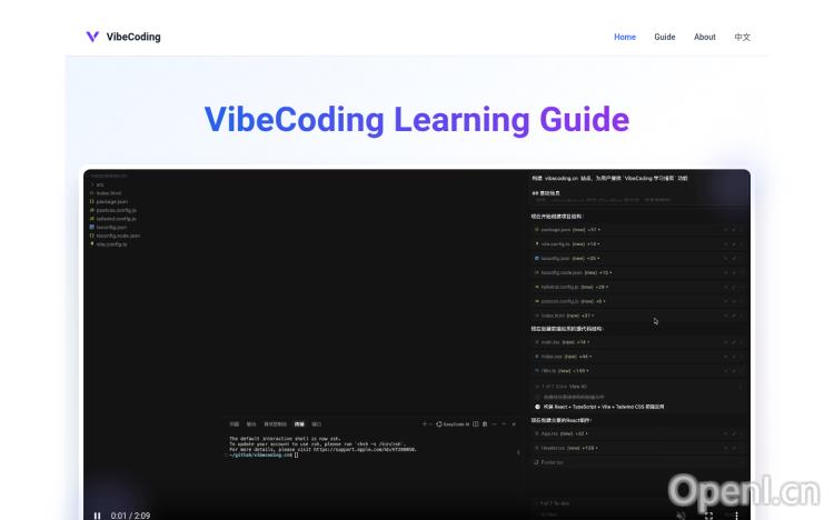 Vibe Coding