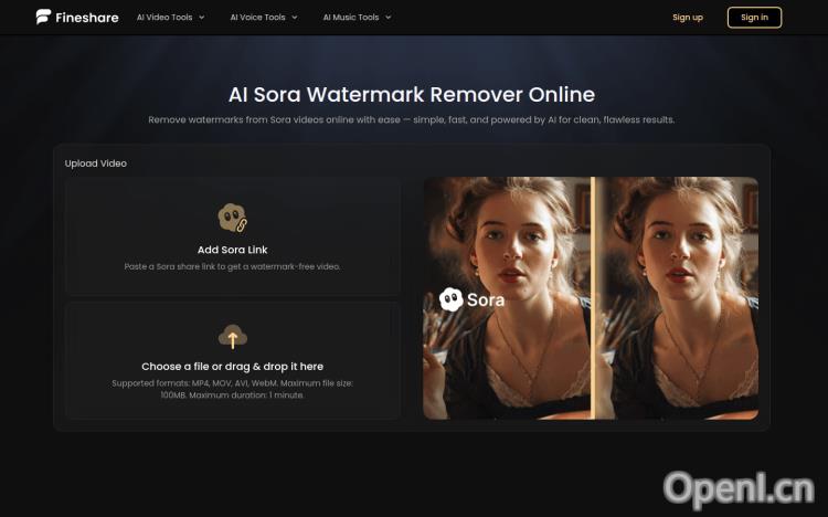 Sora Watermark Remover by Fineshare