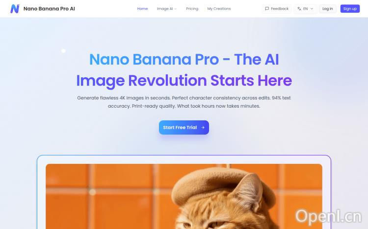 Nano Banana Pro （1）
