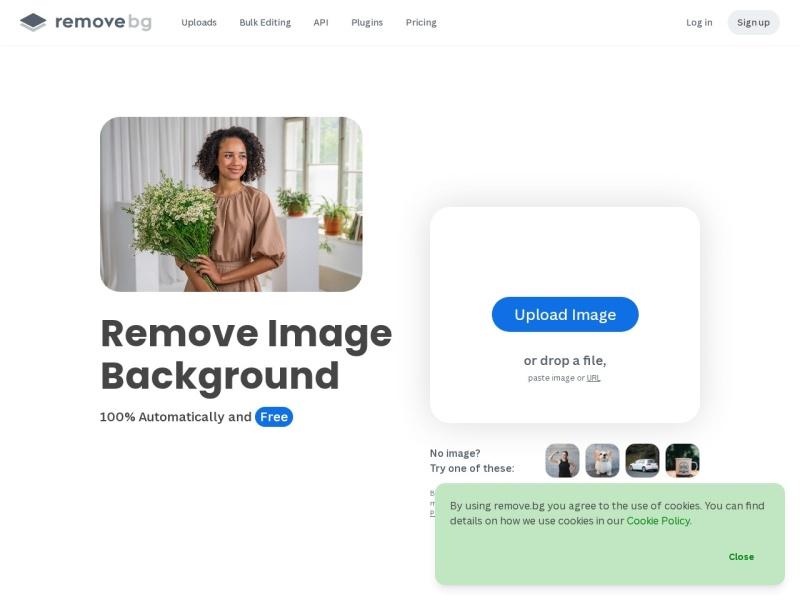 Remove.bg-AI抠图