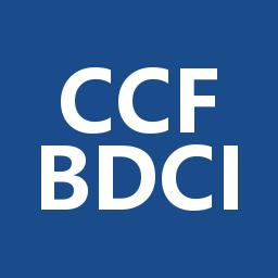 CCF 大数据与计算智能大赛